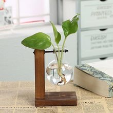 将图片加载到图库查看器，Glass Planter Bulb Vase Transparent Terrarium Hydroponic Vases For Home Garden Office Wedding Decor Wooden Stand Air Planter Bulb Glass Vase Propogation Station for Hydroponics Home Garden Office Decoration
