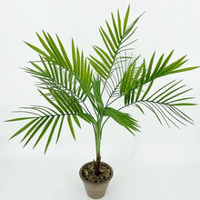 Load image into Gallery viewer, Green Artificial Palm Leaves Plastic Tropical Tree Fake  Indoor Outdoor Garden Home Outdoor Decorations
