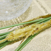 Load image into Gallery viewer, Green Artificial Palm Leaves Plastic Tropical Tree Fake  Indoor Outdoor Garden Home Outdoor Decorations
