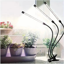 Load image into Gallery viewer, Grow Lights for Seed Starting Auto ON &amp; Off Full Spectrum LED Plant Lights with Timer

