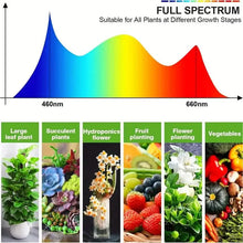 Load image into Gallery viewer, Grow Lights for Seed Starting Auto ON &amp; Off Full Spectrum LED Plant Lights with Timer
