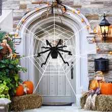Load image into Gallery viewer, Halloween Decorations Spider 49" with 126" Tarantula Mega Spider Web
