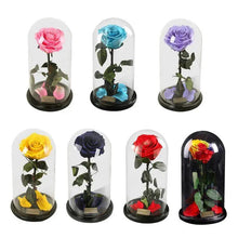 将图片加载到图库查看器，Handmade Preserved Enchanted Rose With Glass Dome on Wood Base - Rose for Christmas ,Valentine's Day

