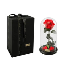 将图片加载到图库查看器，Handmade Preserved Enchanted Rose With Glass Dome on Wood Base - Rose for Christmas ,Valentine's Day
