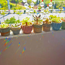 将图片加载到图库查看器，Hanging Crystal With Ball Prism Rainbow Maker Tree of Life Decor For Garden Window Rainbow Maker with Chain for Easy Hanging Outdoor Home Kids Room Window
