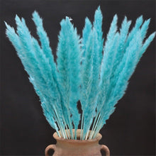 Load image into Gallery viewer, Home Store Wedding Bulrush Natural Dried Flowers Small Pampas Grass Phragmites Communis Decoration for Floor Vase Filler for Living Room Kitchen Decor
