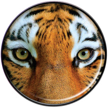 Load image into Gallery viewer, Full Color Tiger Eyes Black Barbell Tongue Ring
