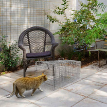 将图片加载到图库查看器，Humane Catch Release Live Animal Collapsible Galvanized Wire Trap Cage
