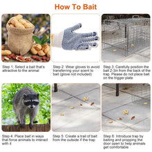 将图片加载到图库查看器，Humane Catch Release Live Animal Collapsible Galvanized Wire Trap Cage
