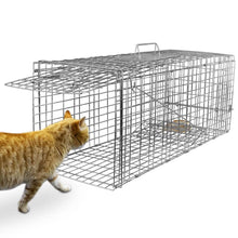 将图片加载到图库查看器，Humane Catch Release Live Animal Collapsible Galvanized Wire Trap Cage
