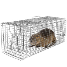 将图片加载到图库查看器，Humane Catch Release Live Animal Collapsible Galvanized Wire Trap Cage
