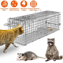 将图片加载到图库查看器，Humane Live Animal Rodent Cage Collapsible Galvanized Wire
