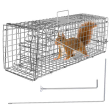将图片加载到图库查看器，Humane Live Animal Rodent Cage Collapsible Galvanized Wire
