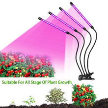 将图片加载到图库查看器，iMounTEK 80W 80 LEDs Plant Lights
