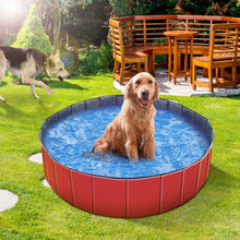 Load image into Gallery viewer, iMounTEK Foldable Pet Swimming Pool
