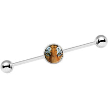 Load image into Gallery viewer, 14G Full Color Tiger Eyes Industrial Barbell 37mm
