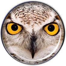 Load image into Gallery viewer, Full Color Owl Barbell Tongue Ring
