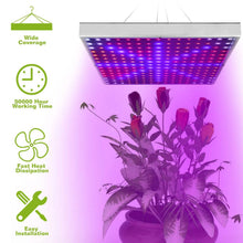 将图片加载到图库查看器，LED Grow Light Full Spectrum Hanging
