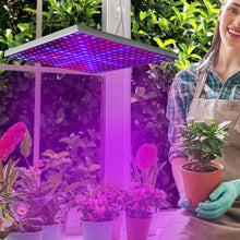 将图片加载到图库查看器，LED Grow Light Full Spectrum Hanging

