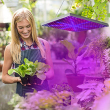 将图片加载到图库查看器，LED Grow Light Full Spectrum Hanging
