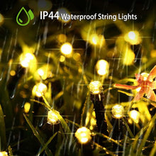 将图片加载到图库查看器，LED Solar Power Fairy String Lights
