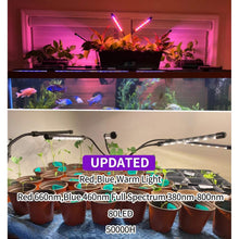 Load image into Gallery viewer, LEOTER Grow Light for Indoor Plants
