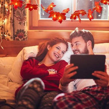 Load image into Gallery viewer, Lighted Fall Garland 40 LED String Light

