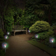 将图片加载到图库查看器，Lights Color Changing Landscape Solar Lamps

