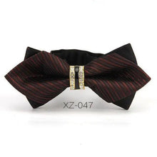 Load image into Gallery viewer, Luxury Men Polyester Bowtie Fashionable Bowtie Stylish Design Wedding Parties Bowties
