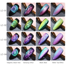 将图片加载到图库查看器，Magnetic Nail Gel Polish UV LED Popular Colorful New Fashion Charming Effect Luxury Drawing Design For Women and Girls
