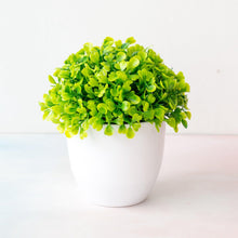 Load image into Gallery viewer, Mini Cute Artificial Bonsai Potted Plastic 15x16cm Friend's Gift Fake Decor  with Plastic Pots Fake Flowers Arrangements for Home Decoration
