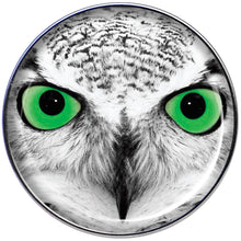 Load image into Gallery viewer, 16G 1/4 Black White Owl Tragus Cartilage Earring
