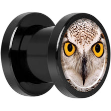 将图片加载到图库查看器，Full Color Owl Black Anodized Screw Fit Plug Set 0G
