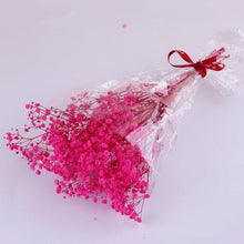 Load image into Gallery viewer, Natural Gypsophila Dried Flowers Mini Babysbreath Flower Preserve Floral  Decor Bouquet Wedding Party Home Backdrop Decor 12cm
