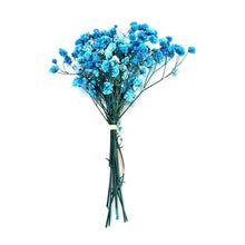 Load image into Gallery viewer, Natural Gypsophila Dried Flowers Mini Babysbreath Flower Preserve Floral  Decor Bouquet Wedding Party Home Backdrop Decor 12cm
