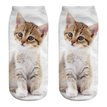 将图片加载到图库查看器，New Cartoon Cat Socks 3D Print Art Funny Socks Women Cute Low Cut Ankle Socks Made o Pure Cotton Short Socks Trending Fashion Short Ankle Socks For Men And Women
