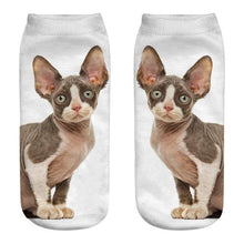 将图片加载到图库查看器，New Cartoon Cat Socks 3D Print Art Funny Socks Women Cute Low Cut Ankle Socks Made o Pure Cotton Short Socks Trending Fashion Short Ankle Socks For Men And Women
