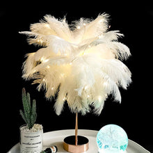 Load image into Gallery viewer, Novelty Feather Night Light Remote Fairy Copper Lamp for Home Living Room Bedroom Bedside Backlight Party Wedding Decoration Cute Study Lamps for Bedroom Décor
