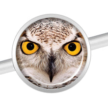 Load image into Gallery viewer, 14G Full Color Owl Industrial Barbell 37mm
