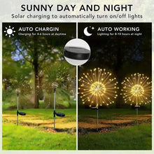 将图片加载到图库查看器，Outdoor Solar Garden Lights with 8 Lighting Modes
