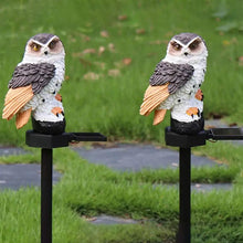 Load image into Gallery viewer, Owl Solar LED Lights with Decorative Stake
