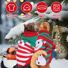 将图片加载到图库查看器，Pet Christmas Turtleneck Sweater
