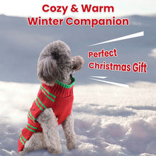 将图片加载到图库查看器，Pet Christmas Turtleneck Sweater
