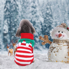 将图片加载到图库查看器，Pet Christmas Turtleneck Sweater
