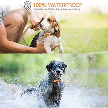 Load image into Gallery viewer, Pet Dog Shock Collar with Remote
