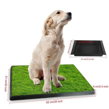 将图片加载到图库查看器，Pet Loo Portable Indoor/Outdoor Pet Potty
