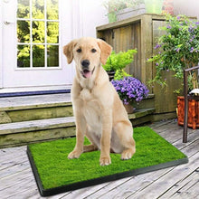 将图片加载到图库查看器，Pet Loo Portable Indoor/Outdoor Pet Potty
