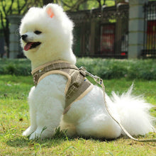 Load image into Gallery viewer, Pet Mesh Harness Dog Leash Puppy Vest
