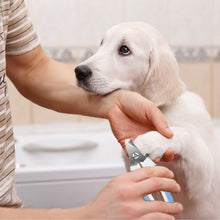 Load image into Gallery viewer, Pet Nail Toe Stainless Steel Trimmer with Nail File

