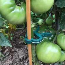 Load image into Gallery viewer, Plant Support Clips for Garden Vine to Grow Upright
